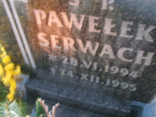 Paweł Serwach 1994 Rymań - Grobonet - Wyszukiwarka osób pochowanych