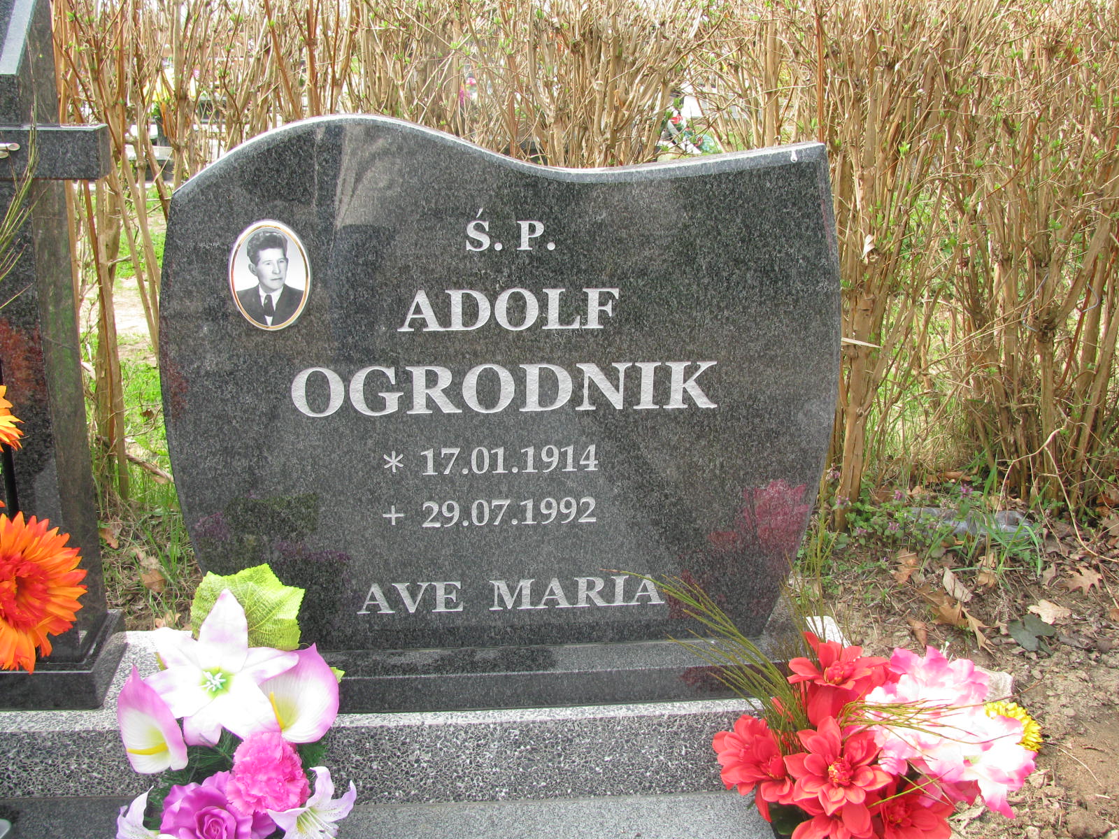 Zdjęcie grobu