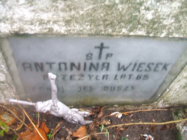 Antonina Więsek 1890 Rymań - Grobonet - Wyszukiwarka osób pochowanych