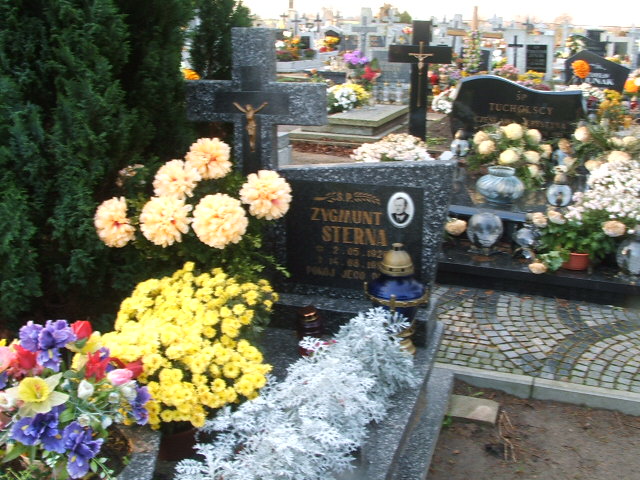 Grób Zygmunt Sterna