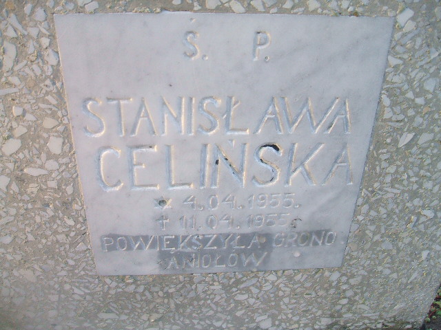 Stanisława Celińska 1955 Rymań - Grobonet - Wyszukiwarka osób pochowanych